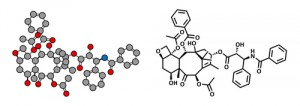 Protein-bound paclitaxel